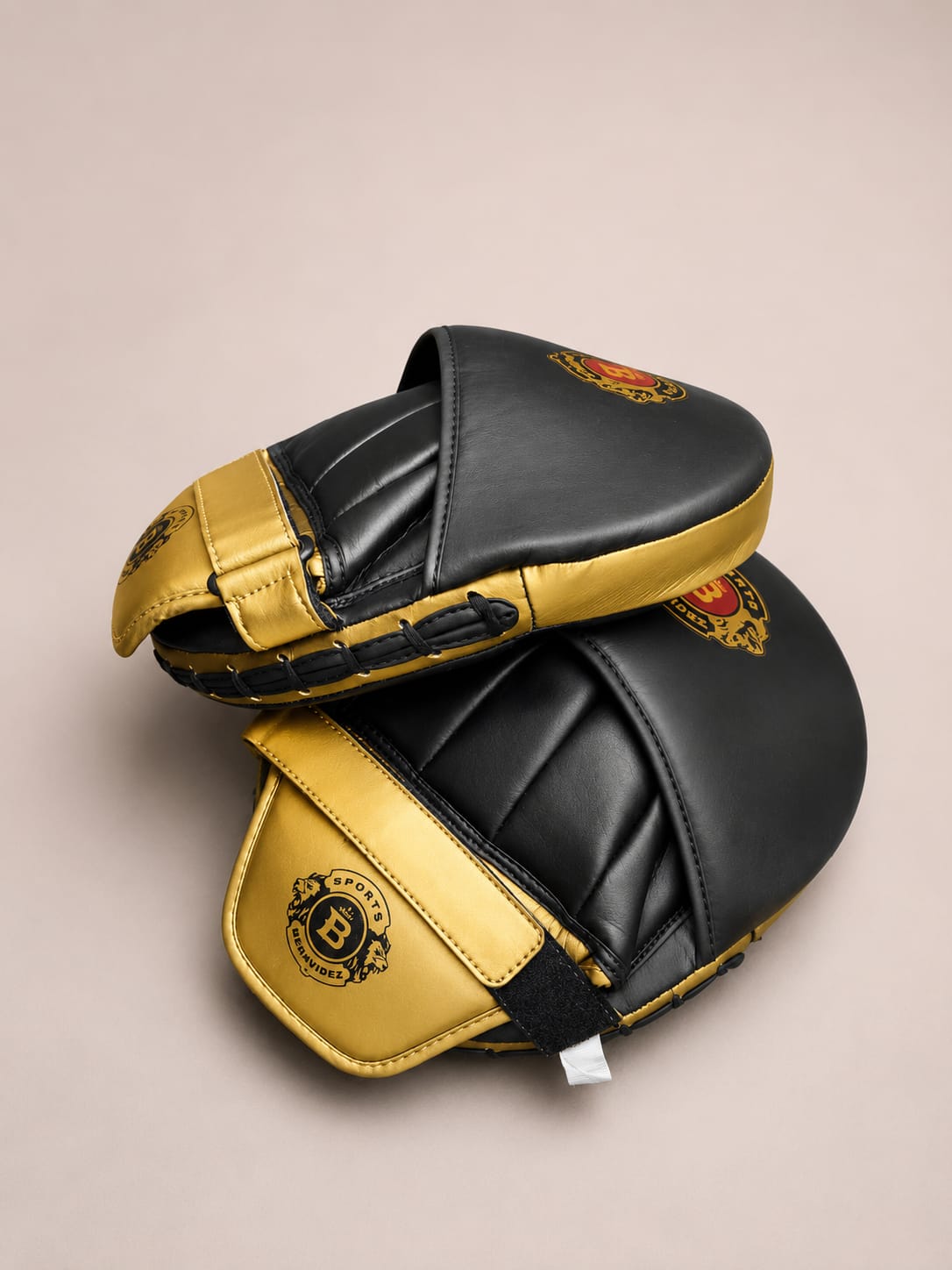 Gold-Accent Black Boxing Focus Mitts